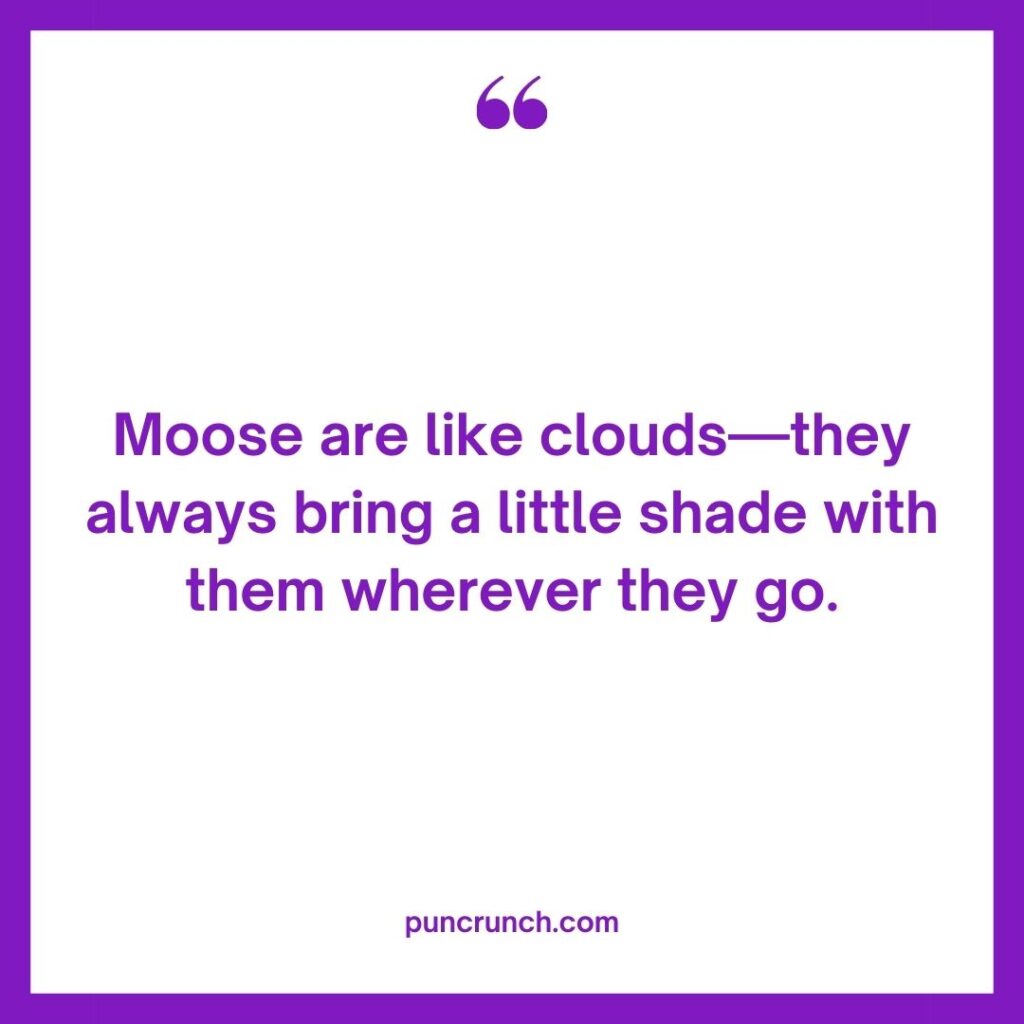 Moose are like clouds—they always bring a little shade with them wherever they go