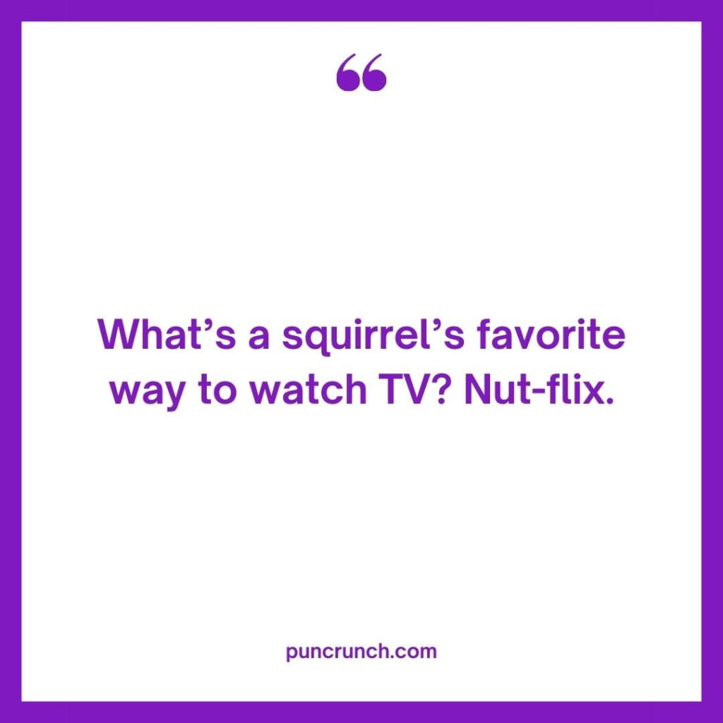 Whats a squirrels favorite way to watch TV Nut flix