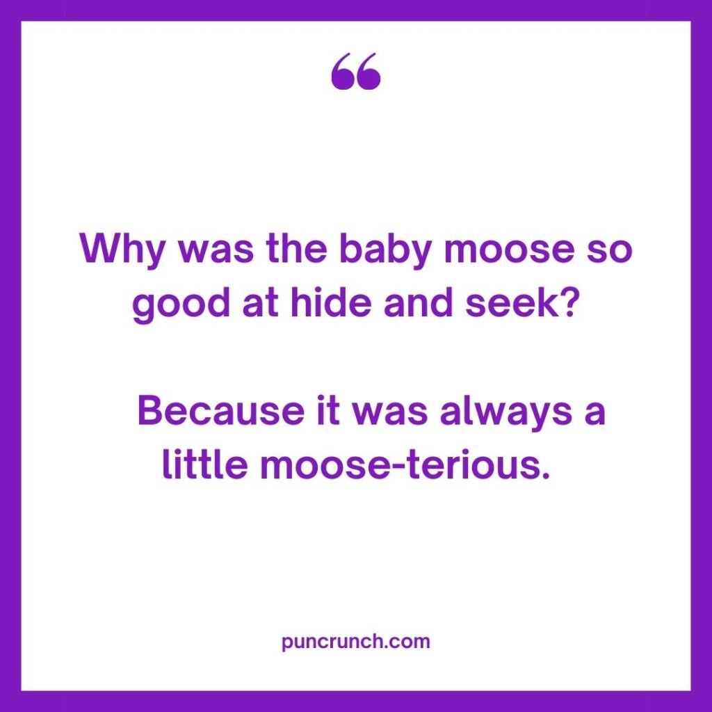 Why was the baby moose so good at hide and seek Because it was always a little moose terious