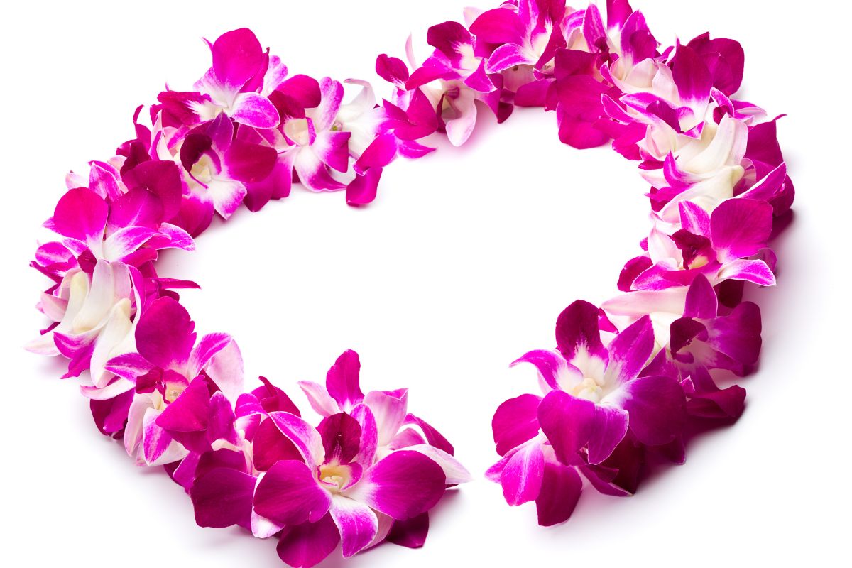 110 Best Lei Puns & Jokes That Are De-Lei-tful