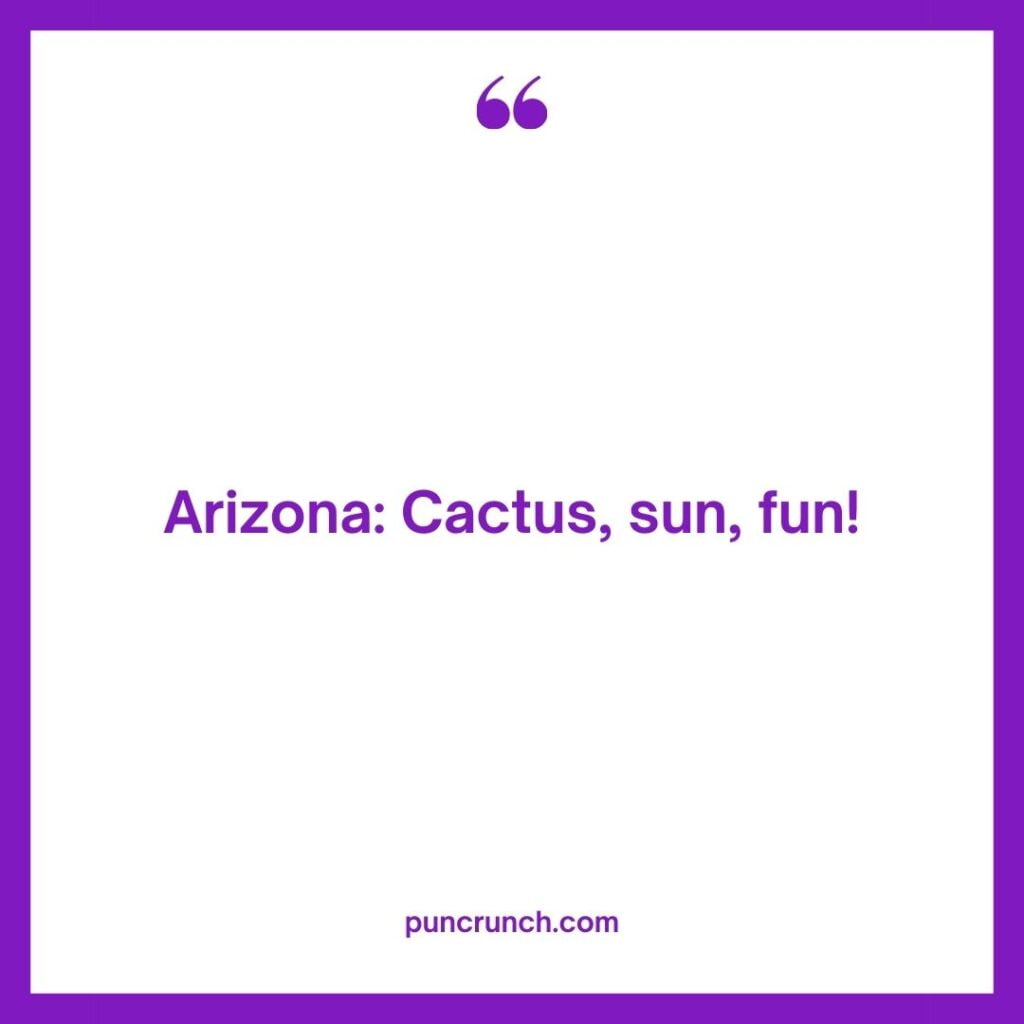 Arizona Cactus sun fun