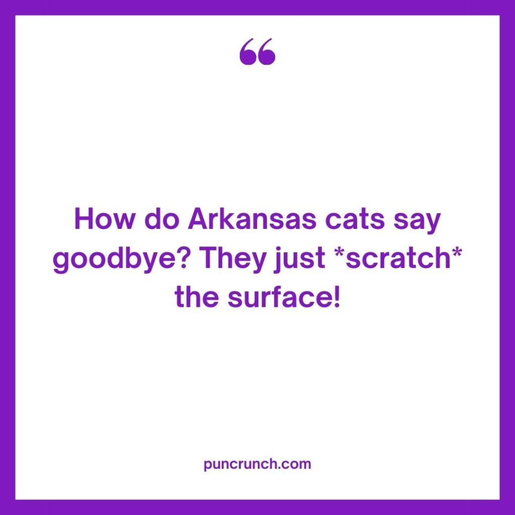 How do Arkansas cats say goodbye They just scratch the surface 1