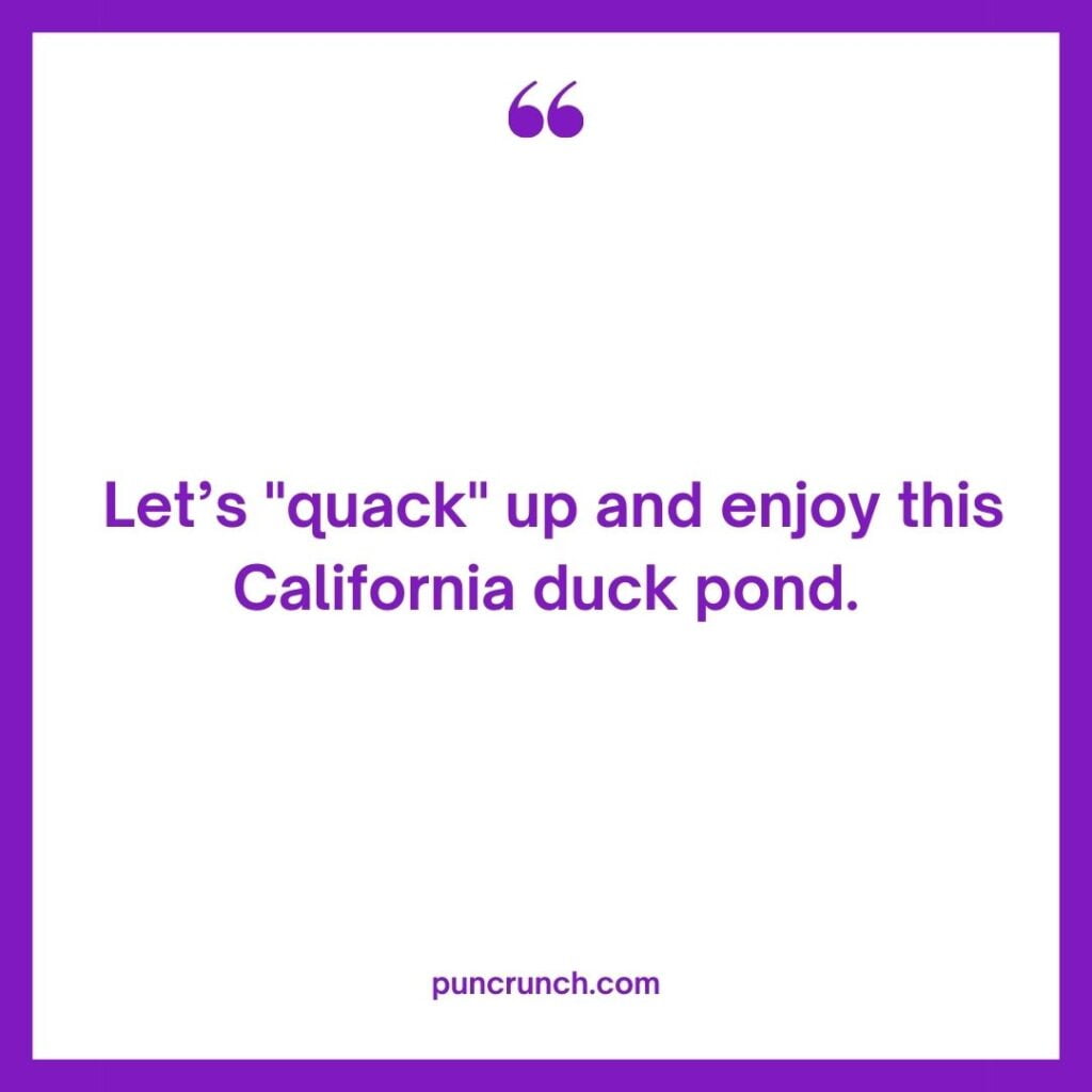 Lets quack up and enjoy this California duck pond