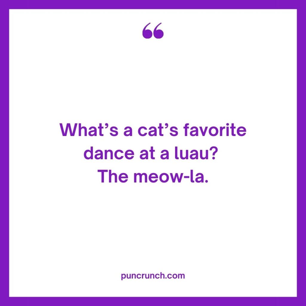 Whats a cats favorite dance at a luau The meow la